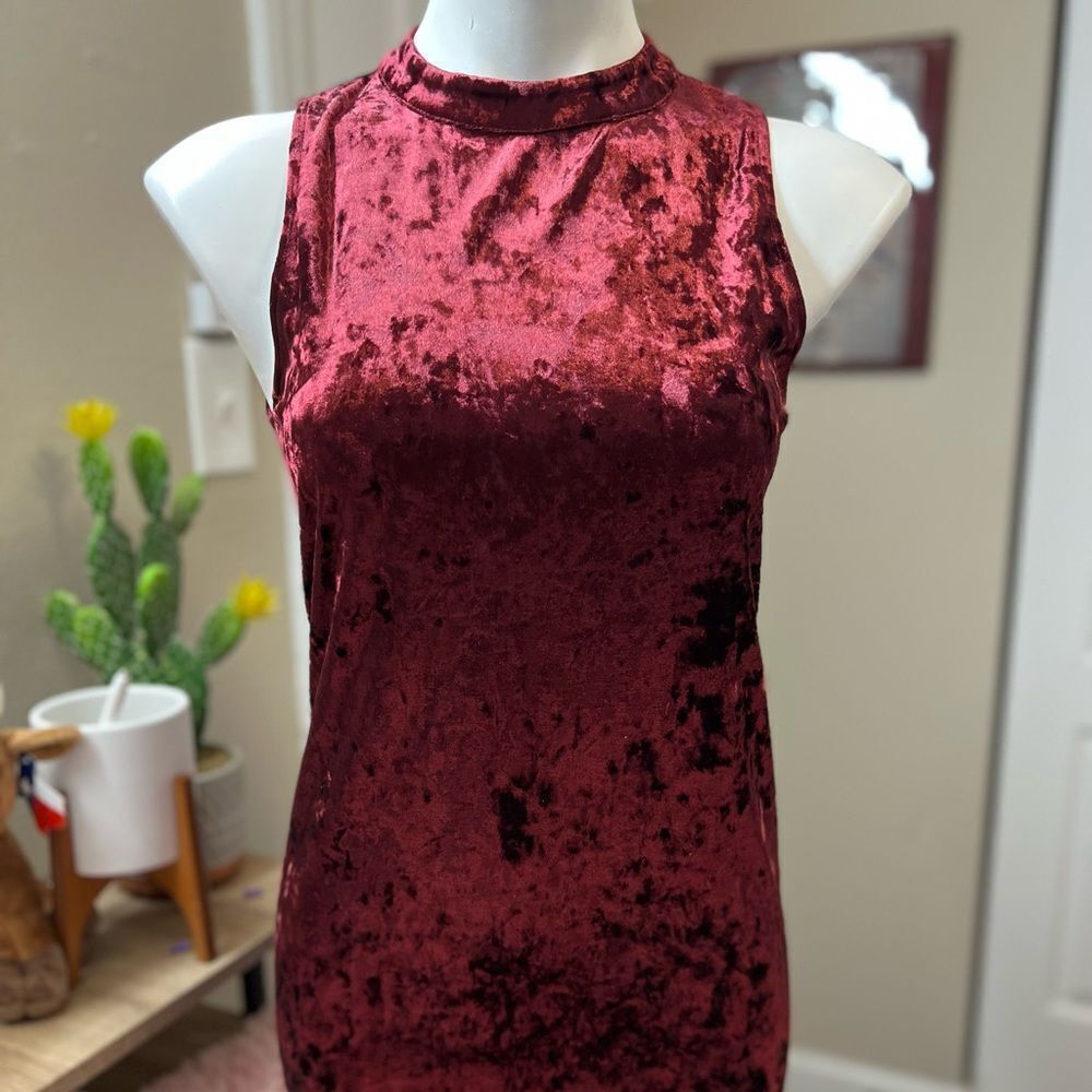 Forever 21 velvet Burgundy dress